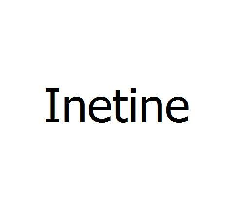 03类-日化用品INETINE商标转让