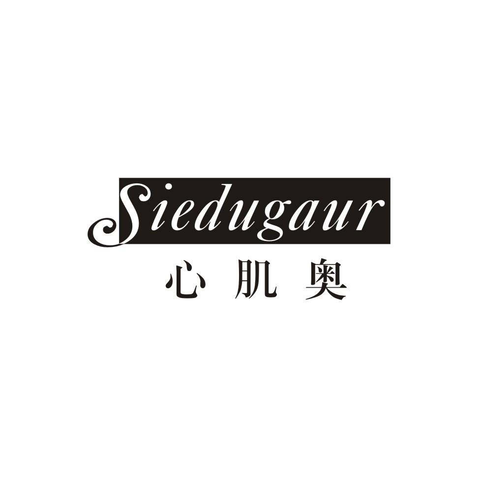 心肌奥 SIEDUGAUR