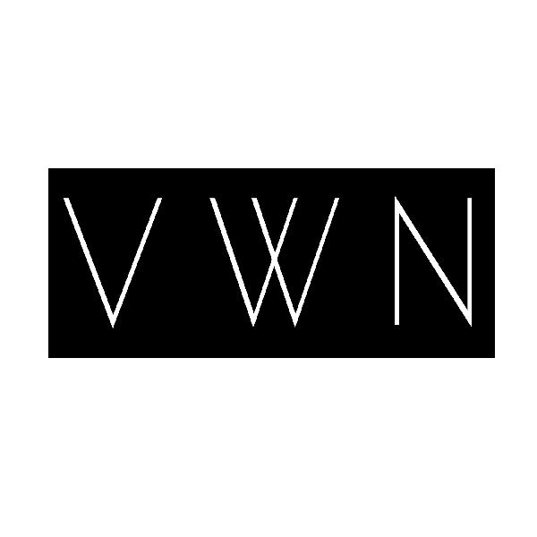 03类-日化用品VWN商标转让