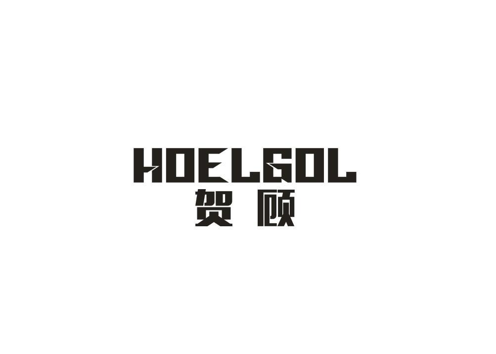 06类-金属材料贺顾 HOELGOL商标转让