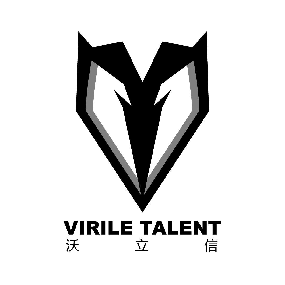 11类-电器灯具沃立信 VIRILE TALENT商标转让