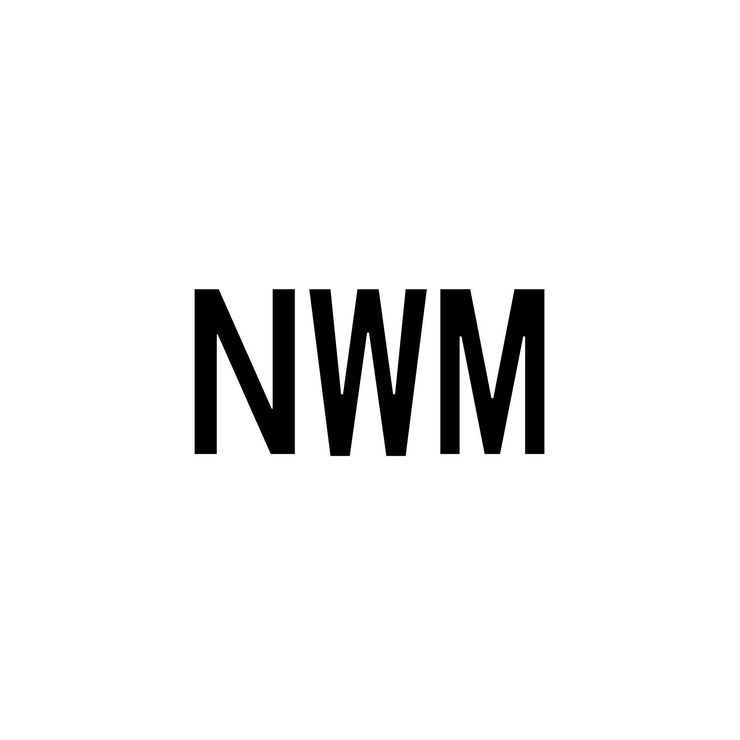 28类-健身玩具NWM商标转让