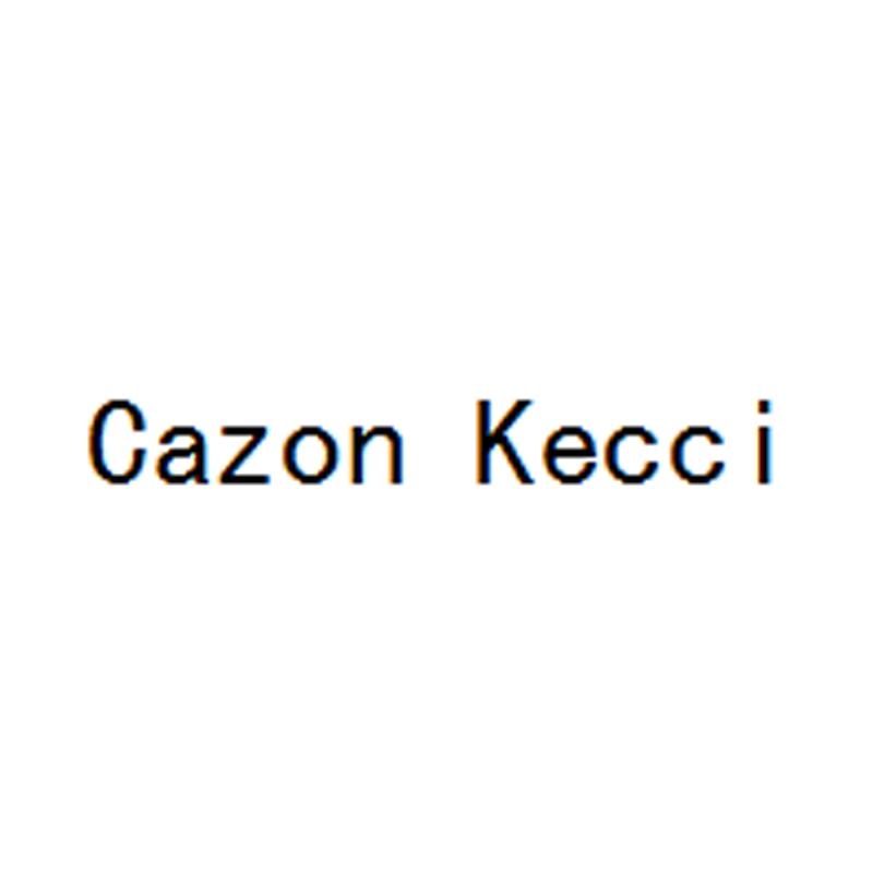 11类-电器灯具CAZON KECCI商标转让