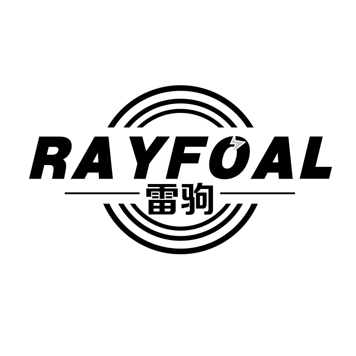 09类-科学仪器雷驹 RAYFOAL商标转让