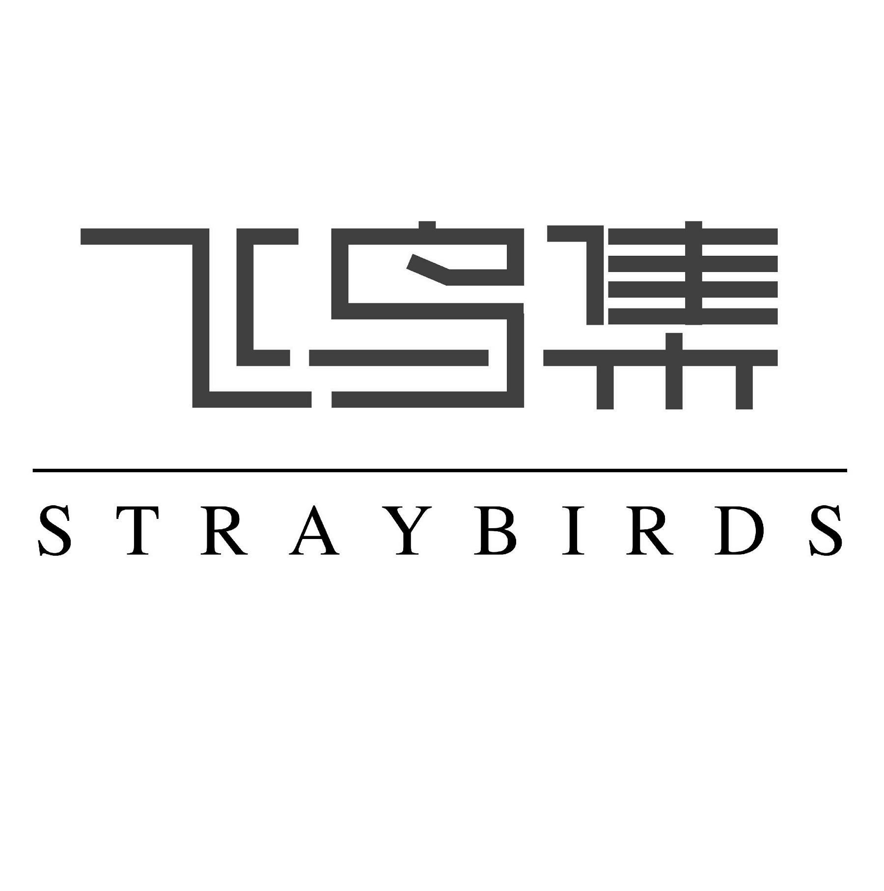 10类-医疗器械飞鸟集 STRAYBIRDS商标转让
