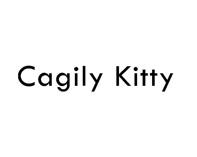 35类-广告销售CAGILY KITTY商标转让