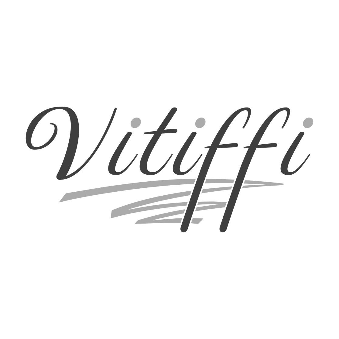14类-珠宝钟表VITIFFI商标转让