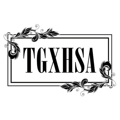 24类-纺织制品TGXHSA商标转让