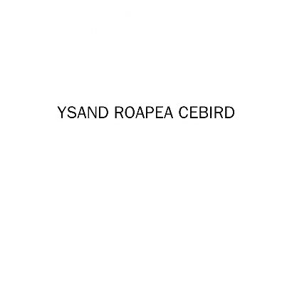 25类-服装鞋帽YSAND ROAPEA CEBIRD商标转让