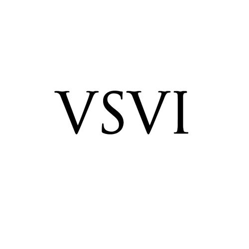 14类-珠宝钟表VSVI商标转让