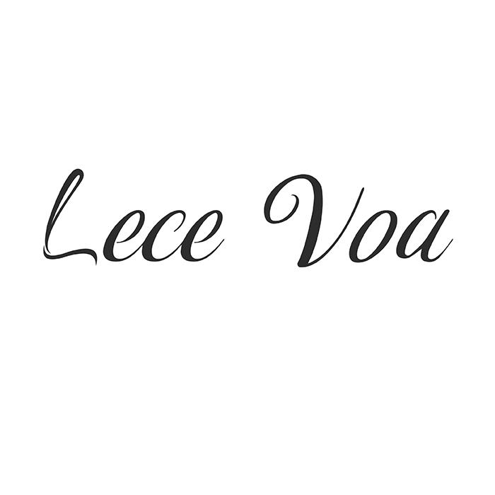 18类-箱包皮具LECE VOA商标转让