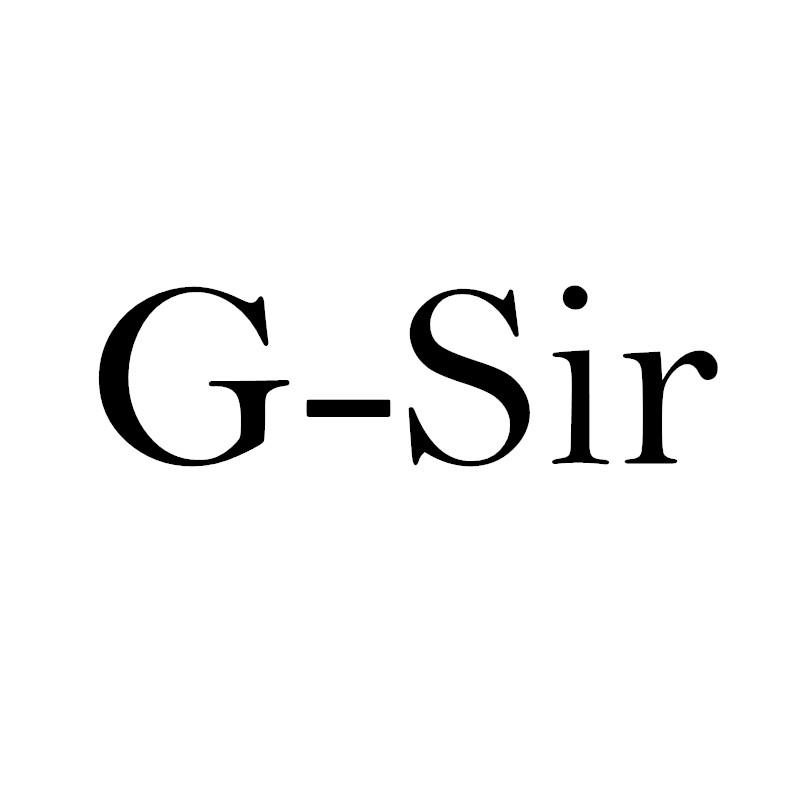 06类-金属材料G-SIR商标转让
