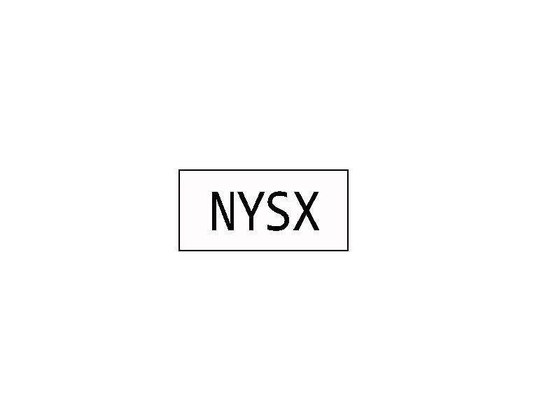 25类-服装鞋帽NYSX商标转让