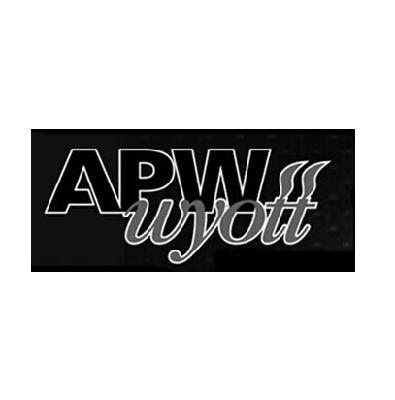 11类-电器灯具APW WYOTT商标转让