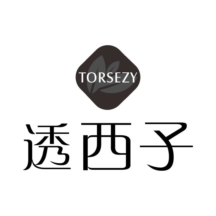 03类-日化用品TORSEZY 透西子商标转让