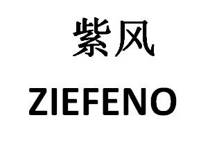 10类-医疗器械紫风 ZIEFENO商标转让
