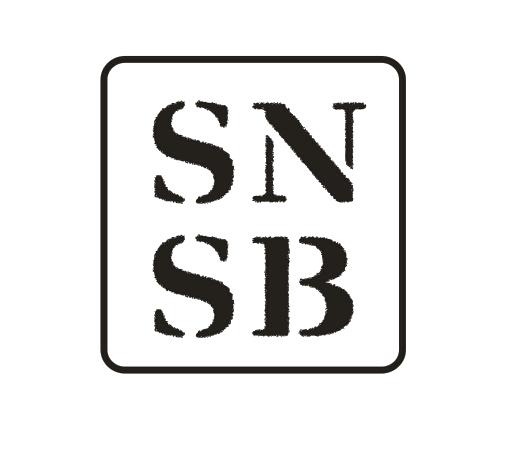 25类-服装鞋帽SNSB商标转让