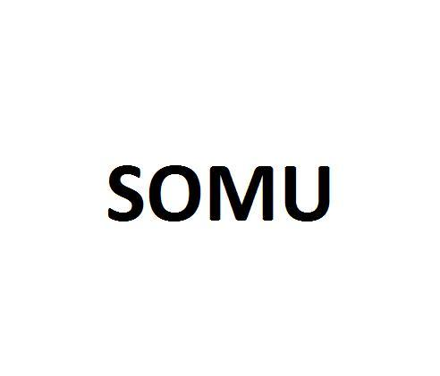 34类-娱乐火具SOMU商标转让