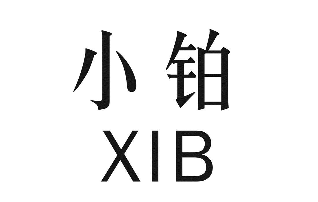 09类-科学仪器小铂 XIB商标转让