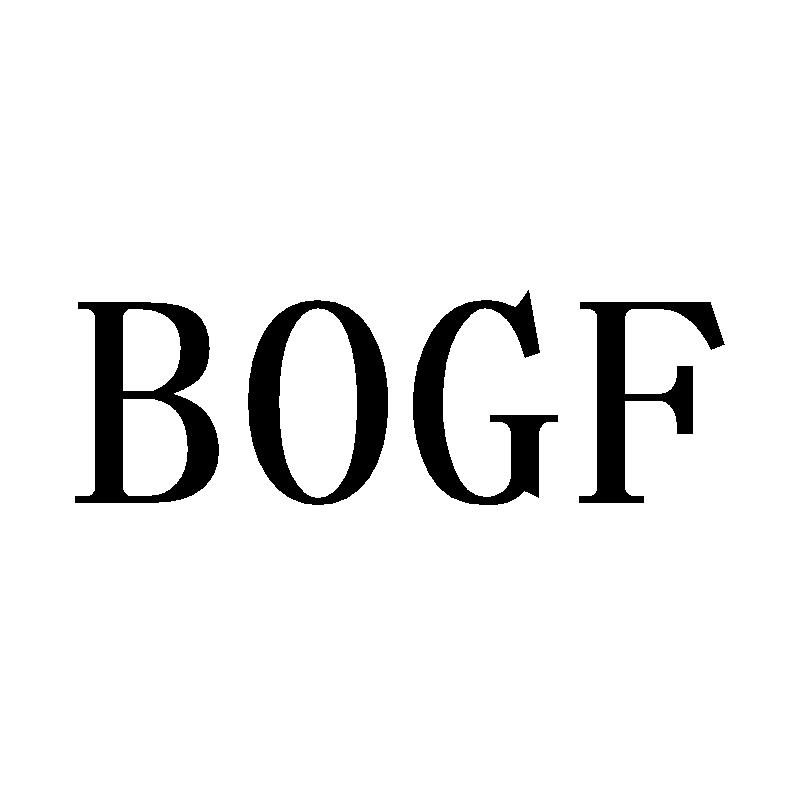 09类-科学仪器BOGF商标转让