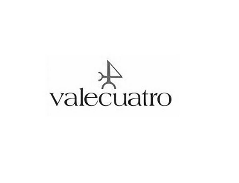 18类-箱包皮具VALECUATRO商标转让