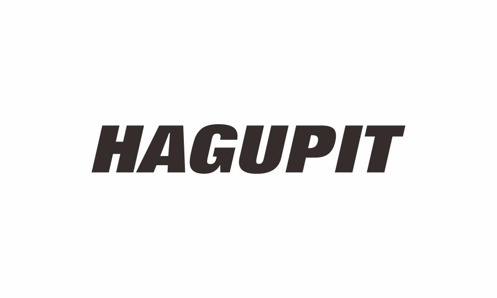 09类-科学仪器HAGUPIT商标转让