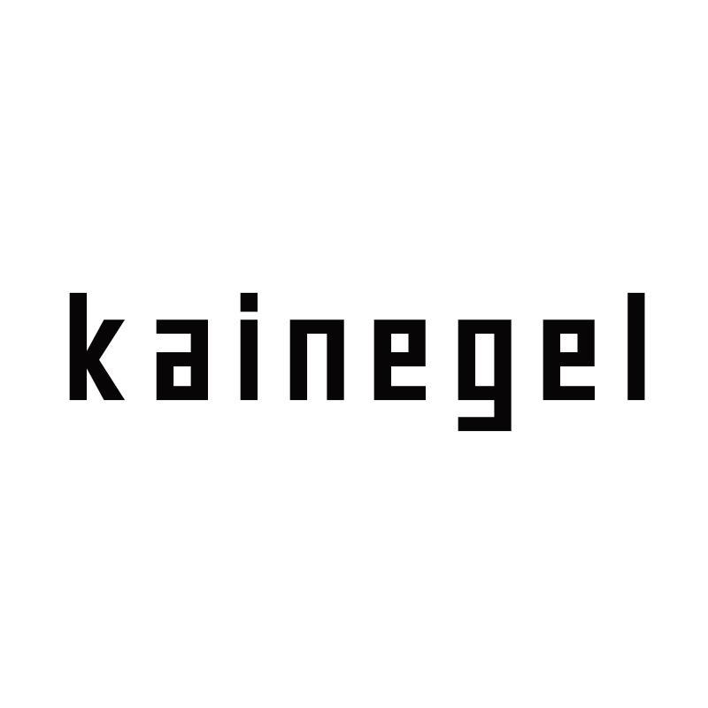11类-电器灯具KAINEGEL商标转让