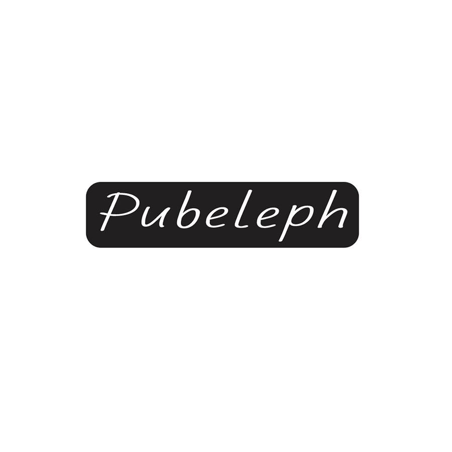 推荐20类-家具PUBELEPH商标转让