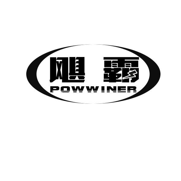 09类-科学仪器飓霸 POWWINER商标转让