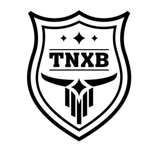 25类-服装鞋帽TNXB商标转让
