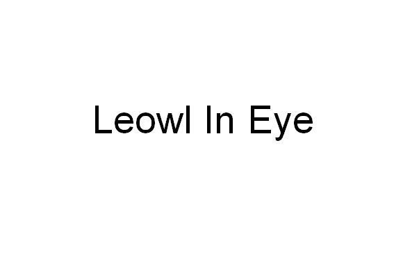 09类-科学仪器LEOWL IN EYE商标转让