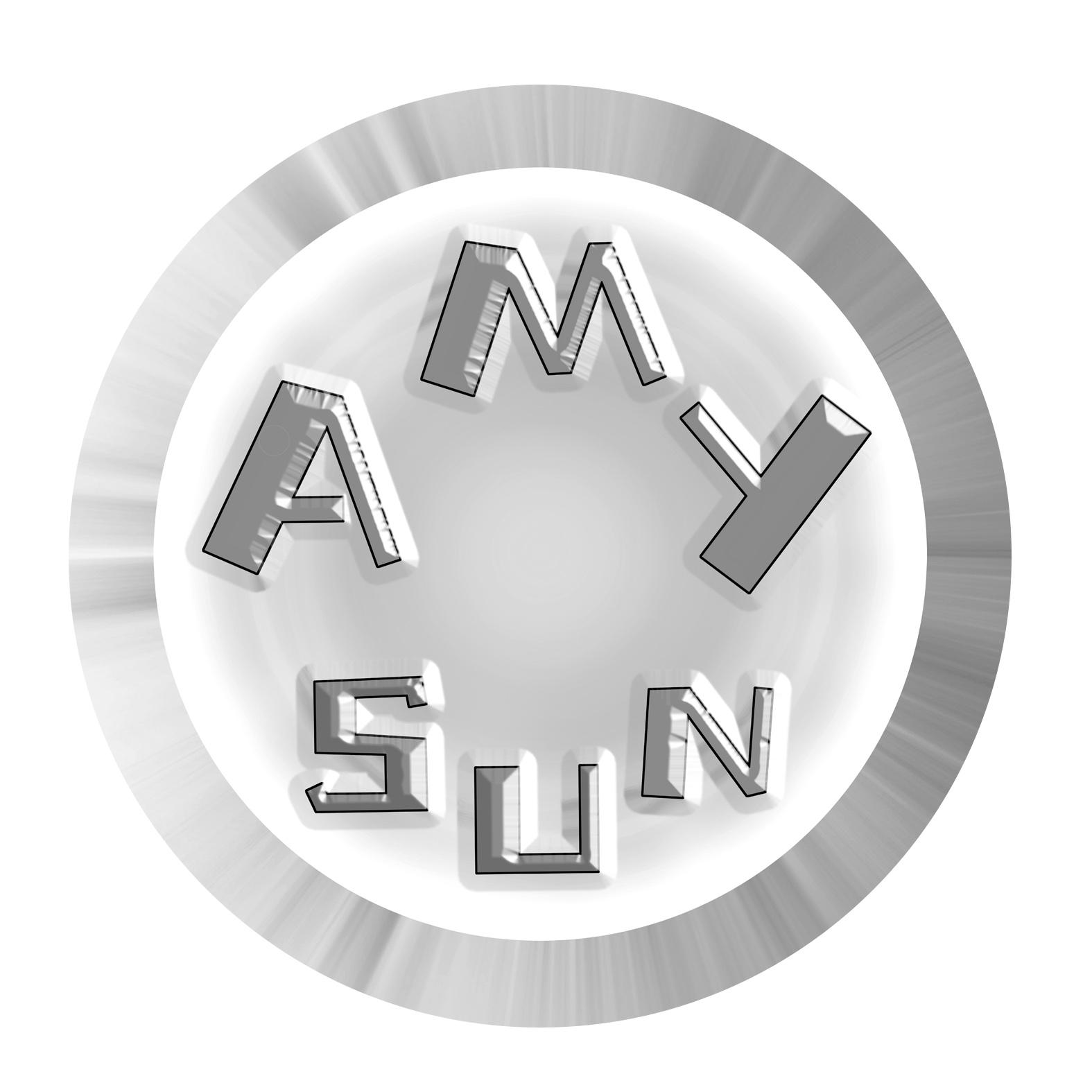 41类-教育文娱AMY SUN商标转让