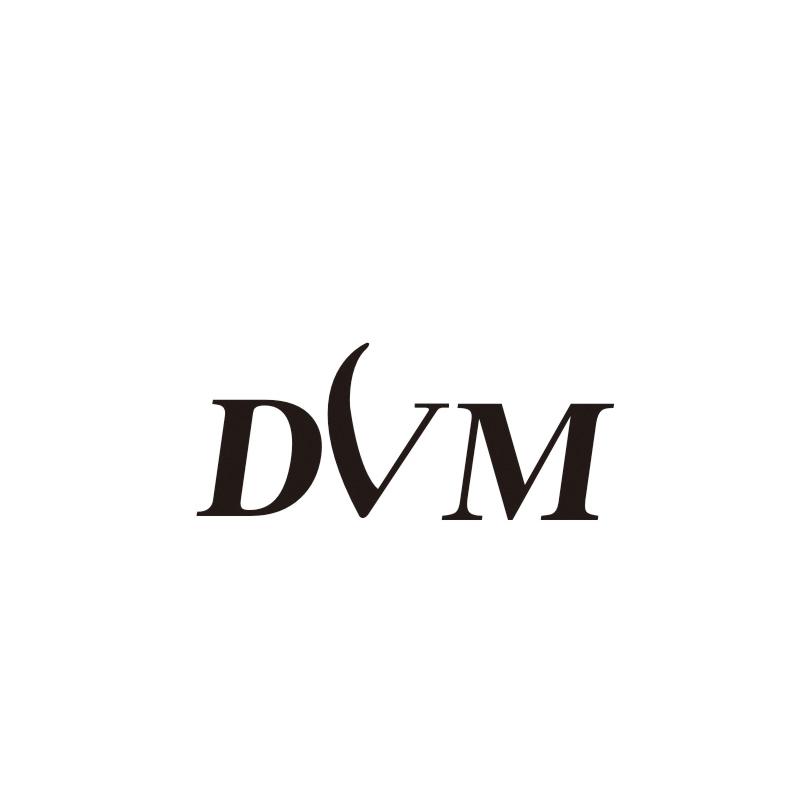 19类-建筑材料DVM商标转让