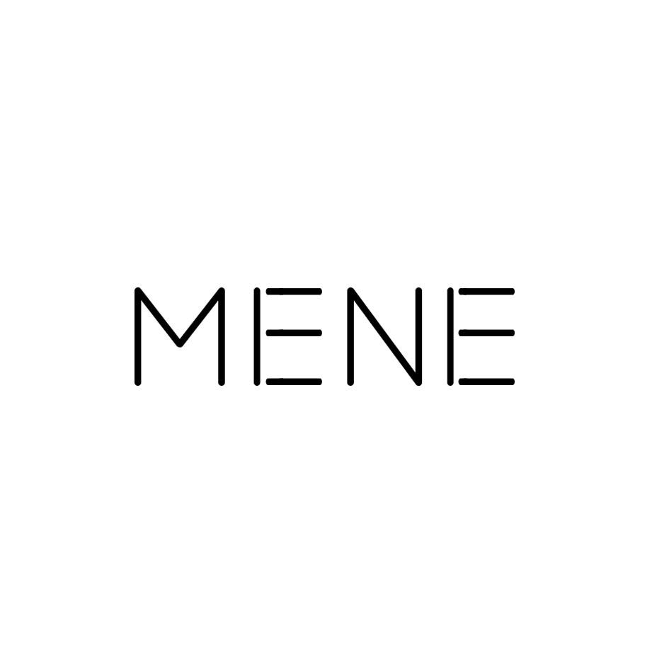 09类-科学仪器MENE商标转让