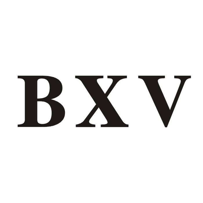 11类-电器灯具BXV商标转让