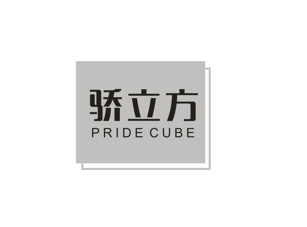 17类-橡胶石棉骄立方 PRIDE CUBE商标转让