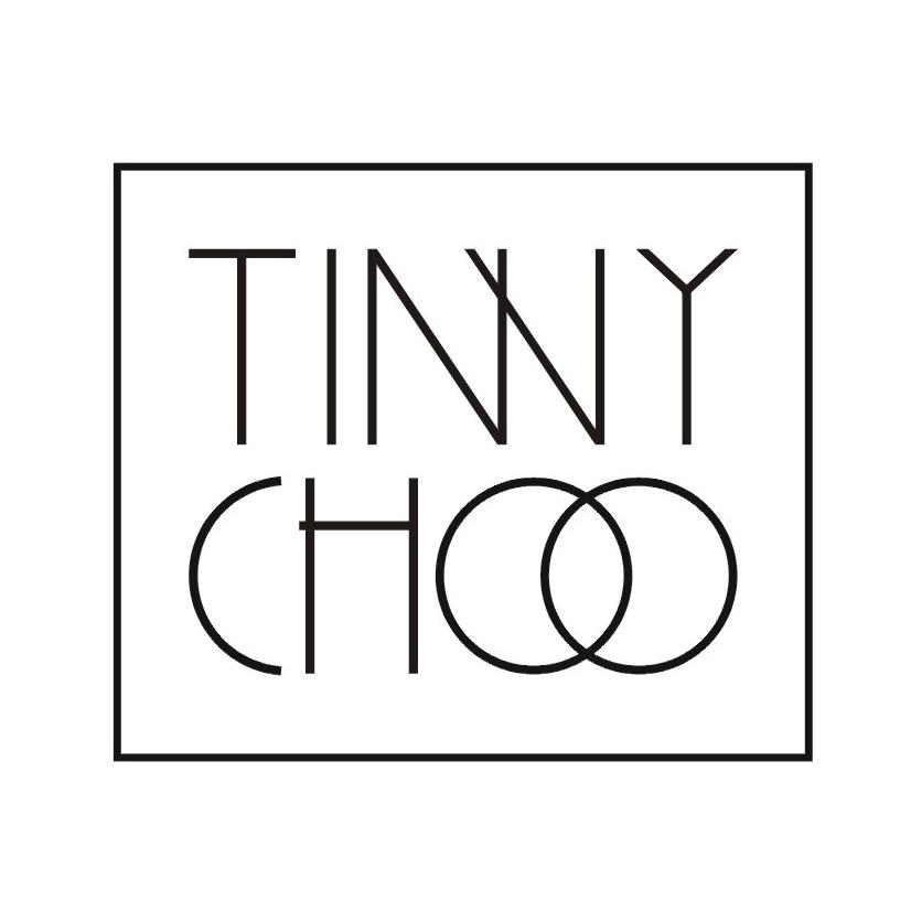 09类-科学仪器TINVY CHOO商标转让