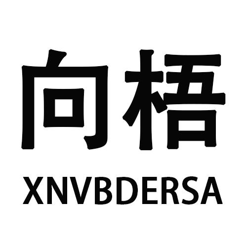 27类-墙纸毯席向梧 XNVBDERSA商标转让