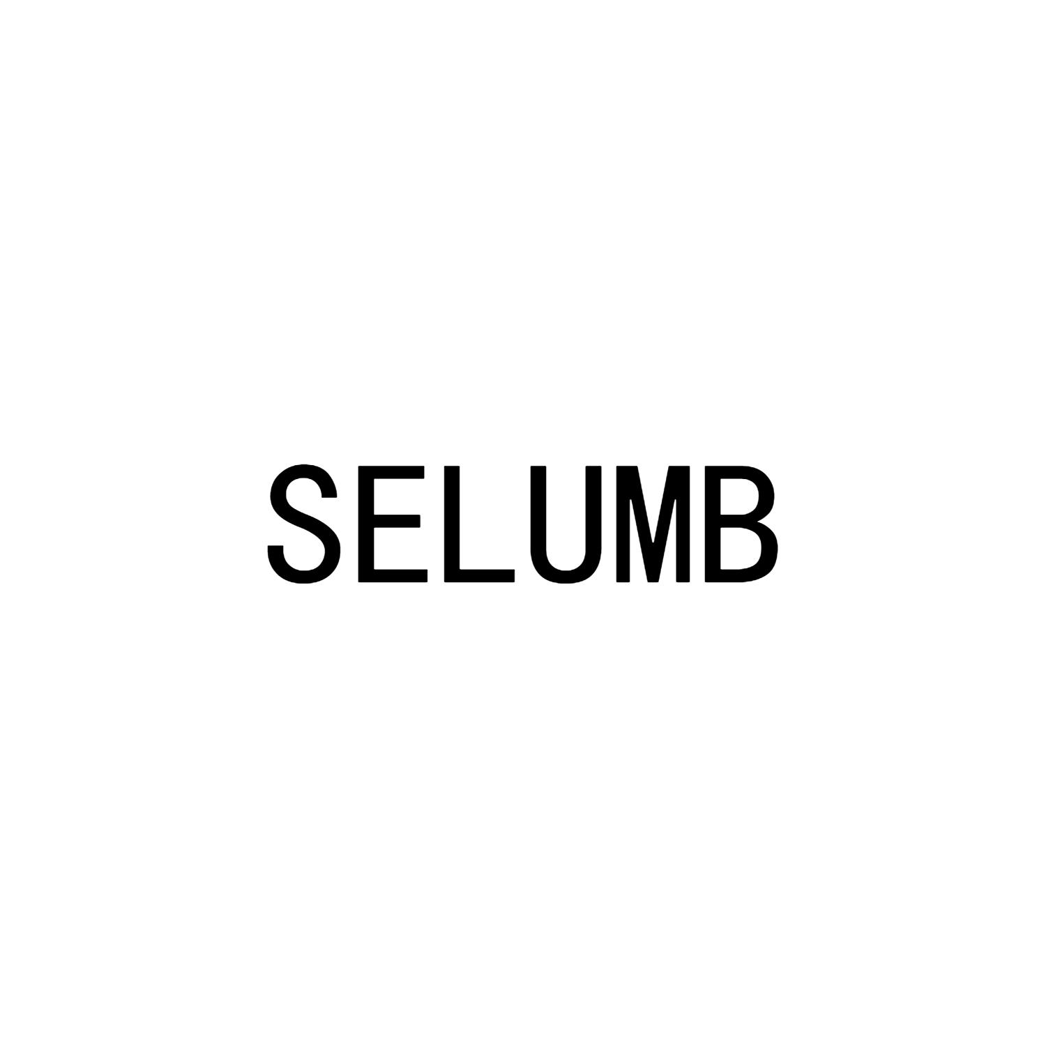 21类-厨具瓷器SELUMB商标转让
