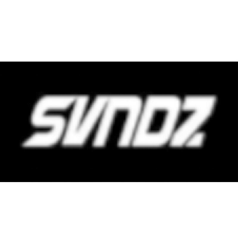 09类-科学仪器SVNDZ商标转让