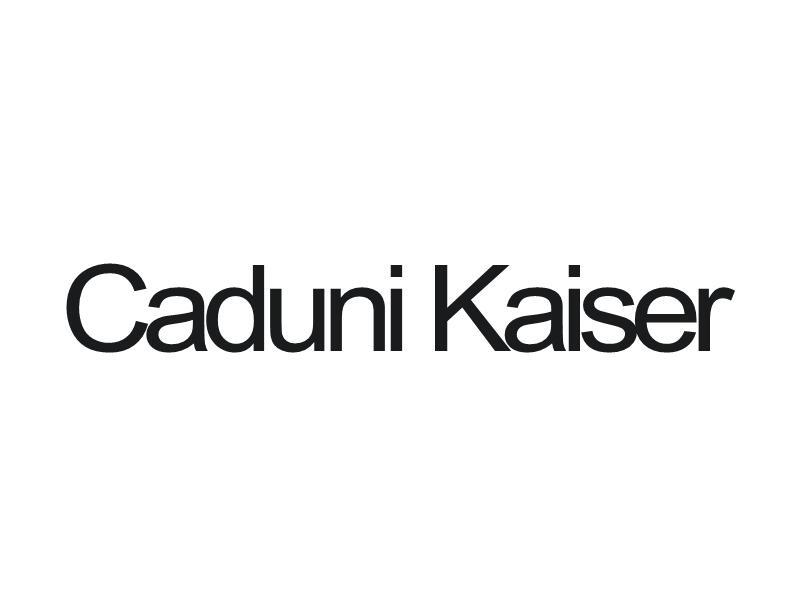 18类-箱包皮具CADUNI KAISER商标转让