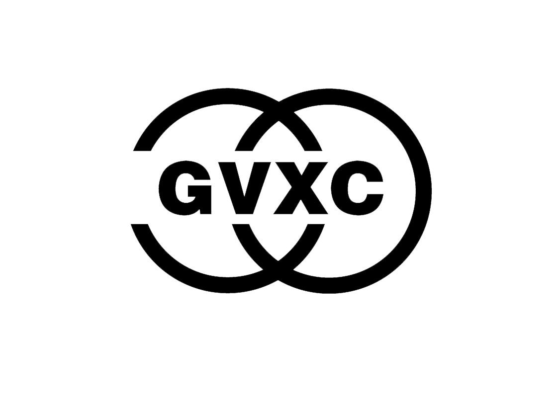 18类-箱包皮具GVXC商标转让