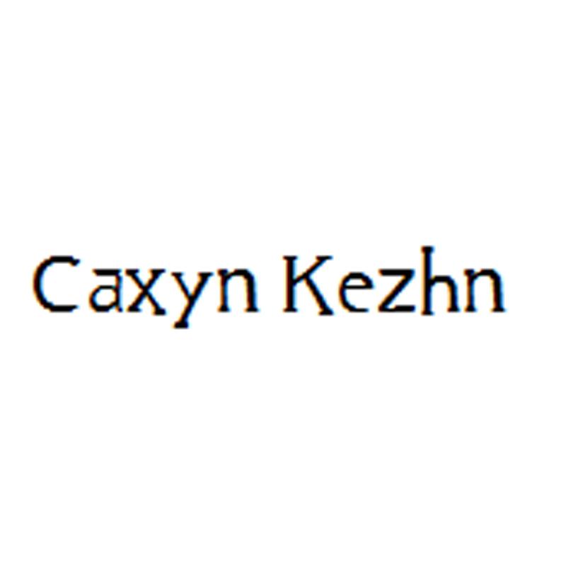21类-厨具瓷器CAXYN KEZHN商标转让