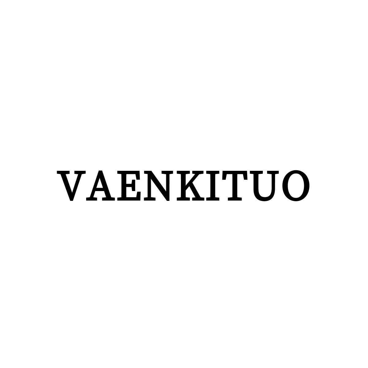 25类-服装鞋帽VAENKITUO商标转让