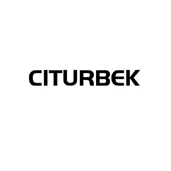 营口市商标转让-25类服装鞋帽-CITURBEK
