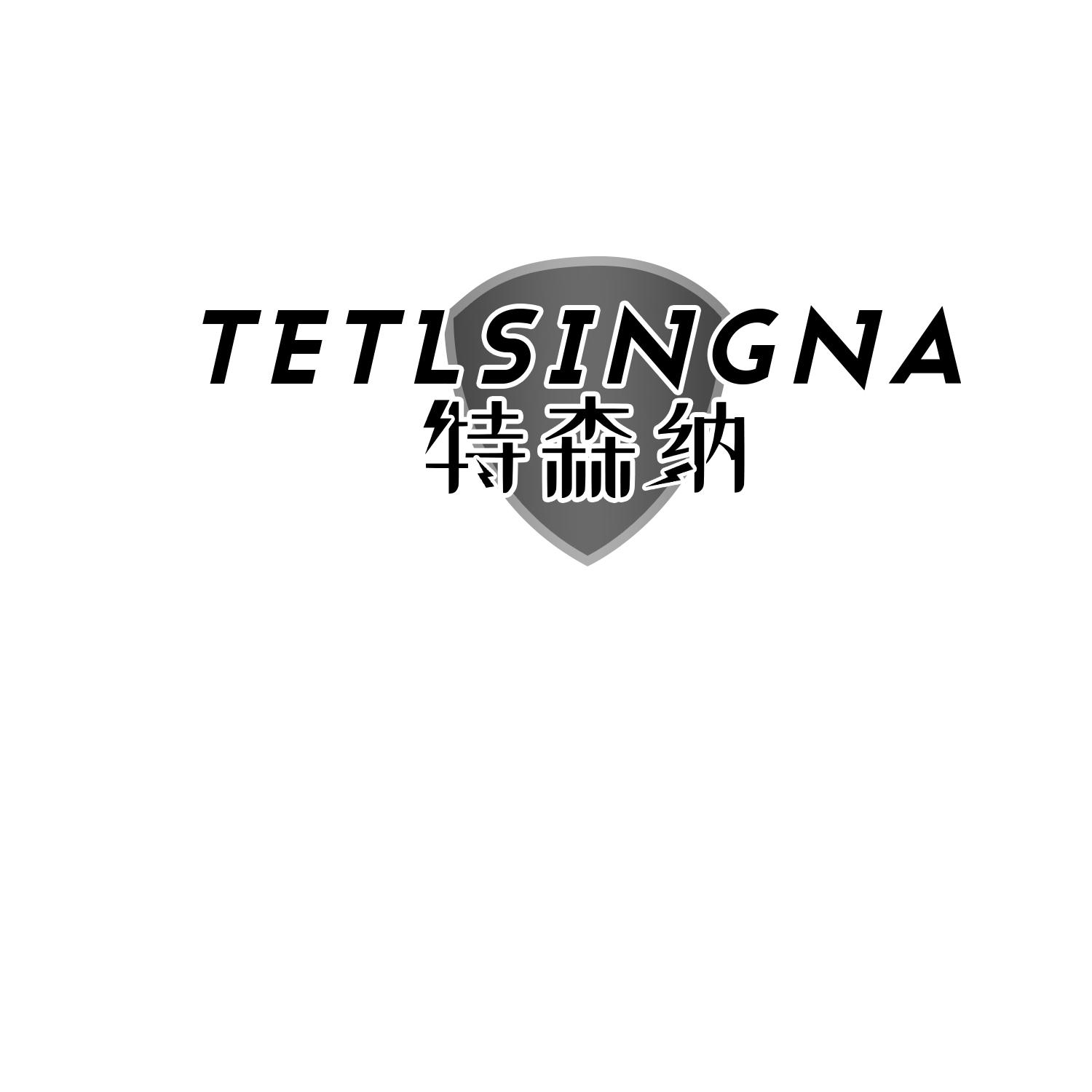 12类-运输装置TETLSINGNA 特森纳商标转让