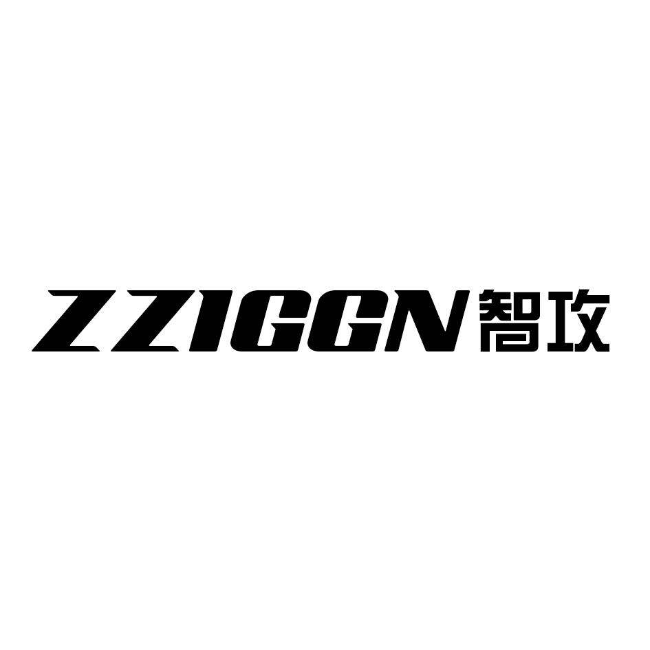 09类-科学仪器智攻 ZZIGGN商标转让