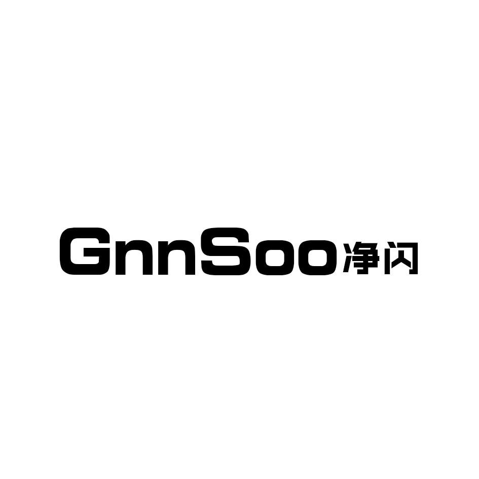 09类-科学仪器净闪 GNNSOO商标转让