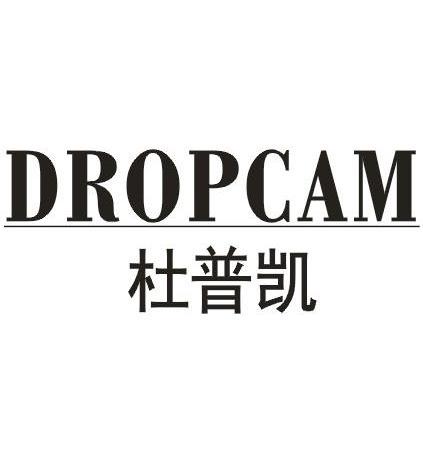41类-教育文娱杜普凯 DROPCAM商标转让