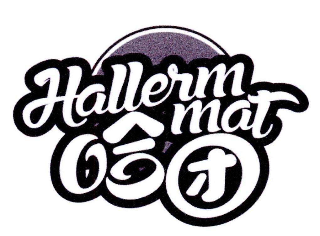 38类-通讯服务哈团 HALLERM MAT商标转让